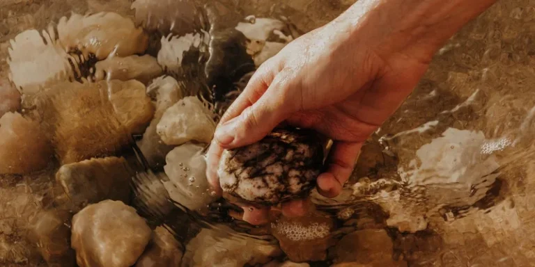 A closeup of a hand holding a stone in shallow water with pebbles