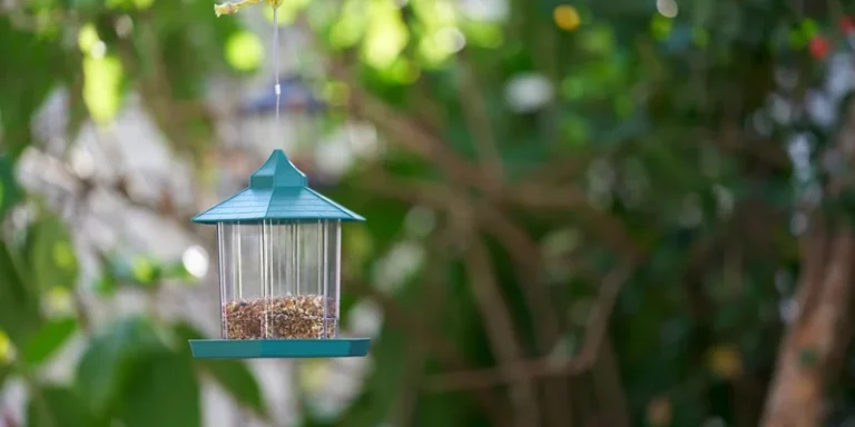 Close-up shot of a hanging bird feeder filled with seeds in a lush green garden setting