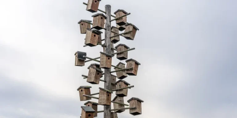 Array of birdhouses mounted on a tall wooden pole under a cloudy sky