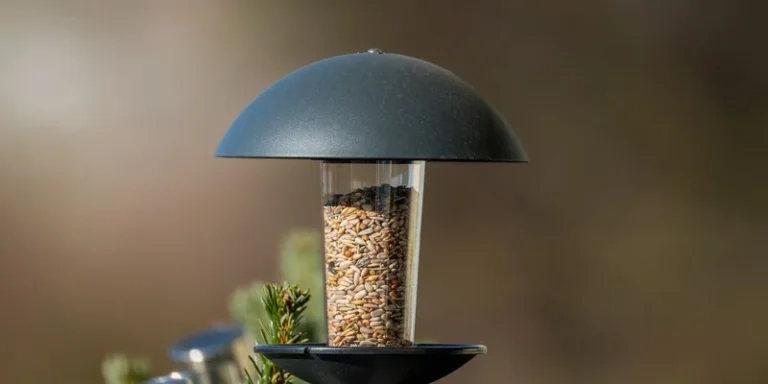 Close-up of a sleek bird feeder filled with seed mixture, set in a garden