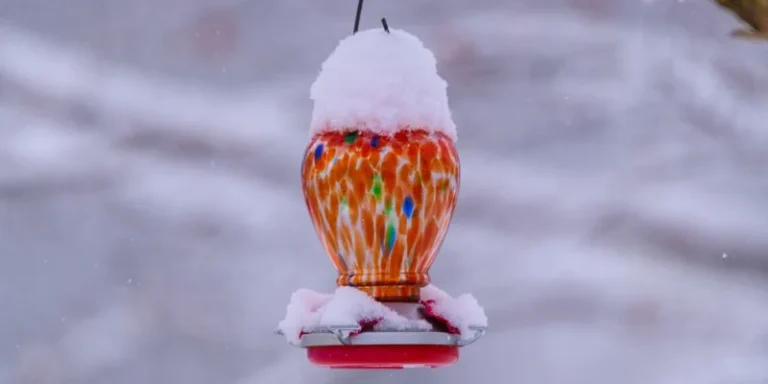 A vibrant bird feeder covered in snow during winter in Canonsburg, Pennsylvania