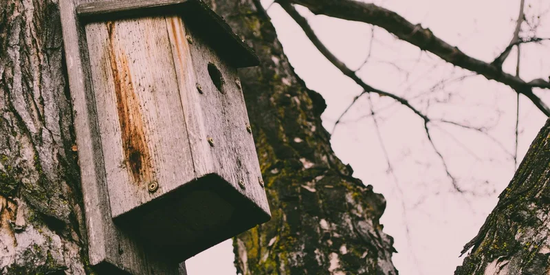 A weathered wooden birdhouse mounted on a tree in an autumn forest setting