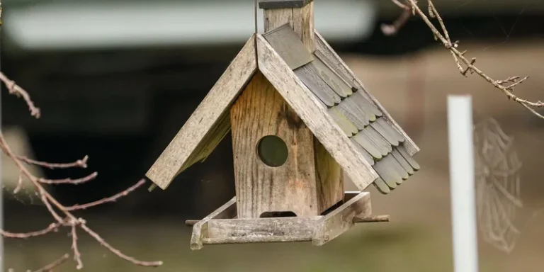 A charming rustic wooden birdhouse hanging on a branch outdoors