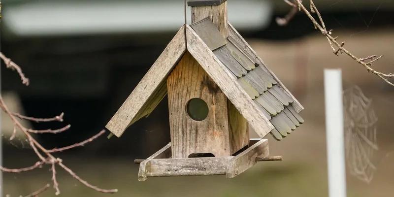A charming rustic wooden birdhouse hanging on a branch outdoors
